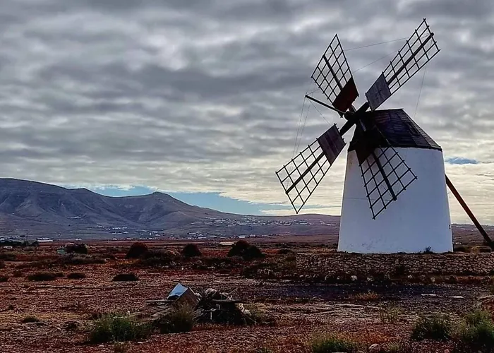 Casa Freesia By Interhome Appartement